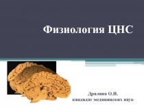 Физиология ЦНС