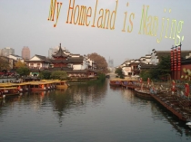 My Homeland is Nanjing