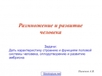 Пименов А.В.
Размножение и развитие человека
Задачи:
Дать характеристику