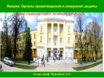 Лекция: Органы кроветворения и иммунной защиты
