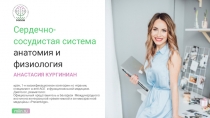 Сердечно-сосудистая система анатомия и физиология