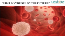 WHAT DO YOU SEE ON THE PICTURE?