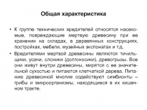 Общая характеристика