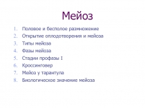 Мейоз