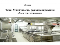 Лекция
Тема: Устойчивость функционирования объектов экономики