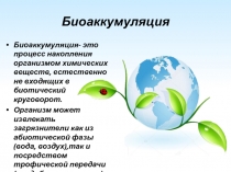Биоаккумуляция