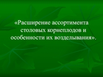 Расширение ассортимента столовых корнеплодов и особенности их возделывания