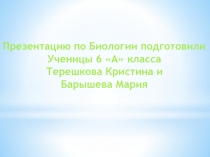 Презентацию по Биологии подготовили
Ученицы 6 А класса
Терешкова Кристина