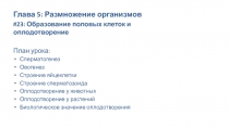 Глава 5: Размножение организмов
# 2 3 : Образование половых клеток и