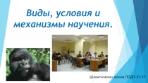 Виды, условия и механизмы научения