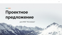 Проектное предложение