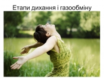 Етапи дихання і газообміну