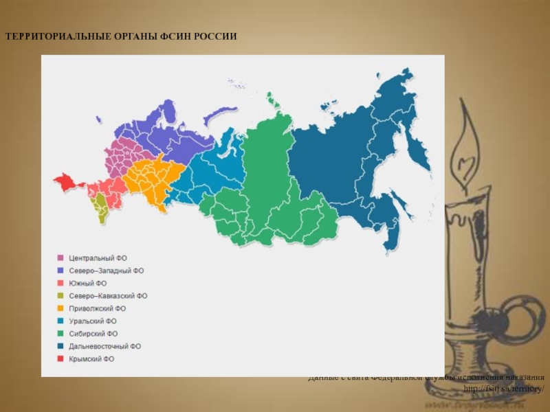 Территориальные органы. Федеральная служба исполнения наказаний РФ территориальные органы. Что такое территориальные органы УИС РФ. Территориальные органы ФСИН. Схема территориального органа ФСИН России.