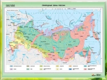 деревья леса