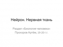 Нейрон. Нервная ткань
