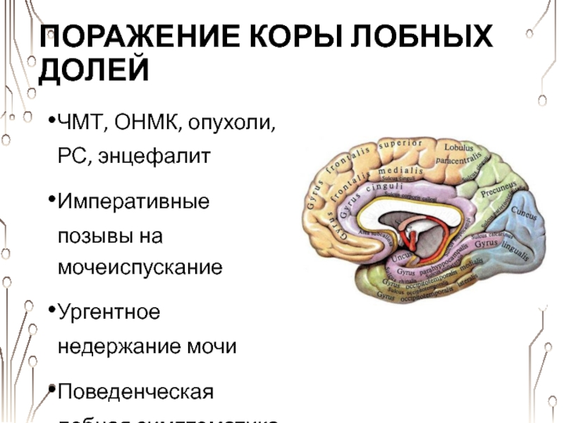 Поражение коры. Поражение лобной доли.