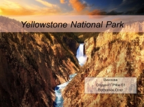 Yellowstone National Park