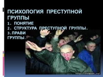 ПСИХОЛОГИЯ ПРеСТУПНОЙ ГРУППЫ 1. ПОНЯТИЕ 2. СТРУКТУРА ПРЕСТУПНОЙ ГРУППЫ
