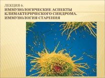 Лекция 6. Иммунологические аспекты климактерического синдрома. Иммунология