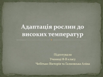 А даптація рослин до високих температур