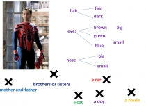 hair
fair
dark
eyes
brown
green
blue
big
small
nose
big
small
mother and