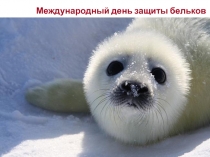 Международный день защиты бельков