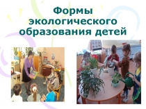 Формы экологического образования детей
