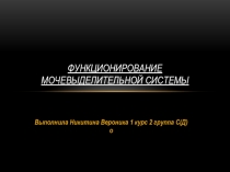 Функционирование мочевыделительной системы