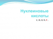 Нуклеиновые кислоты