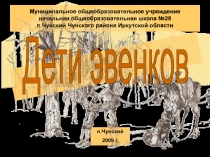 Муниципальное общеобразовательное учреждение начальная общеобразовательная