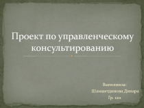 Проект по управленческому консультированию