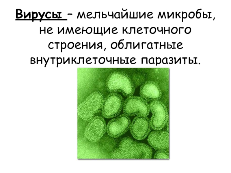 Вирусы – мельчайшие микробы, не имеющие клеточного строения, облигатные внутриклеточные паразиты.