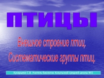 ПТИЦЫ
Внешное строение птиц.
Систематические группы птиц.
Кукарцева С.В