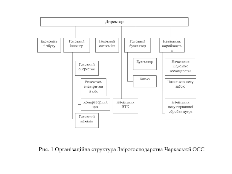 Рис. 1 Організаційна структура Звірогосподарства Черкаської ОСС