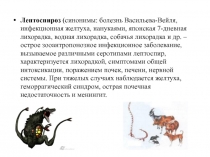 Лептоспироз  (синонимы: болезнь Васильева-Вейля, инфекционная желтуха,