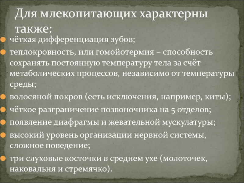 Какие преимущества дает организму теплокровность