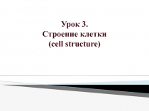 Урок 3.
Строение клетки
( cell structure)