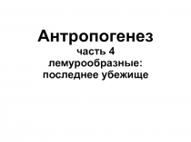 Антропогенез часть 4 лемурообразные: последнее убежище