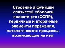 Строение и функции слизистой оболочки полости рта (СОПР), первичные и вторичные