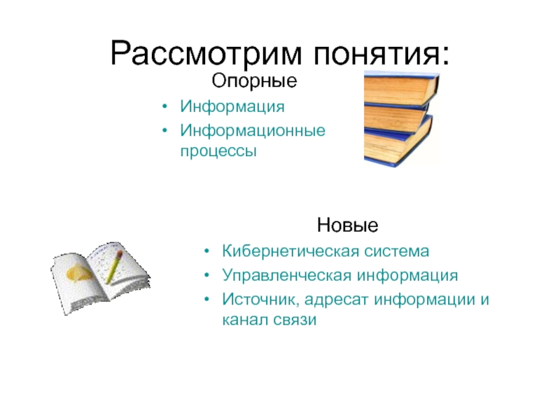 Рассмотреть понятие