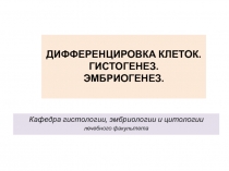 ДИФФЕРЕНЦИРОВКА КЛЕТОК.
ГИСТОГЕНЕЗ.
ЭМБРИОГЕНЕЗ.
Кафедра гистологии,