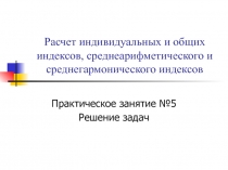 Расчет индивидуальных и общих индексов, среднеарифметического и