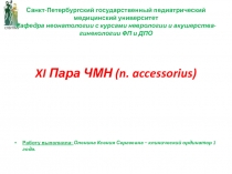 Санкт-Петербургский государственный педиатрический медицинский университет