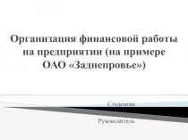 Организация финансовой работы на предприятии (на примере ОАО  Заднепровье )