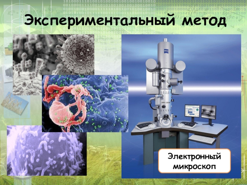 Методы исследования в биологии презентация