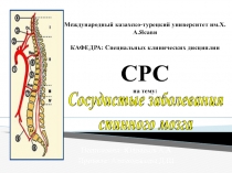 Международный казахско-турецкий университет им.Х.А.Ясави КАФЕДРА: Специальных