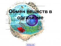 Обмен веществ в организме