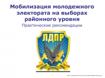 Мобилизация молодежного электората на выборах районного уровня
Практические