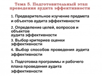 Тема 5. Подготовительный этап проведения аудита эффективности