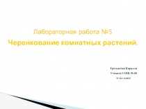 Черенкование комнатных растений.
Третьякова Кирилла
Ученика СОШ № 68
6 в